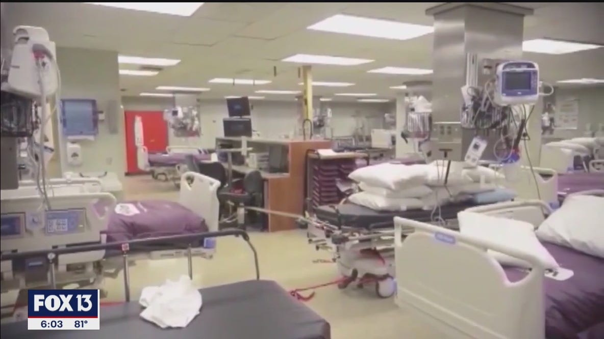 DeSantis makes statements on hospital capacity